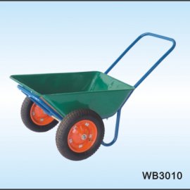 WB3010