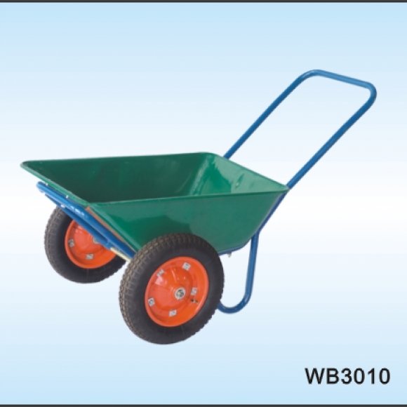WB3010 - 419